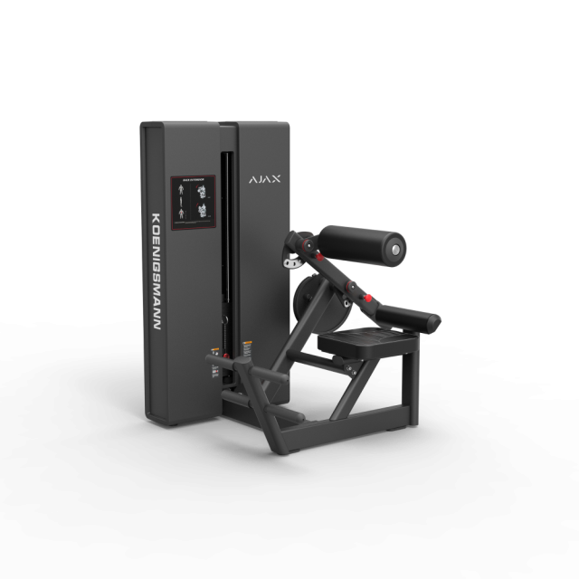 Разгибание спины STEELFRAME AYAX (Вес стека 86 кг.) Разгибание спины STEELFRAME AYAX (Вес стека 86 кг.)