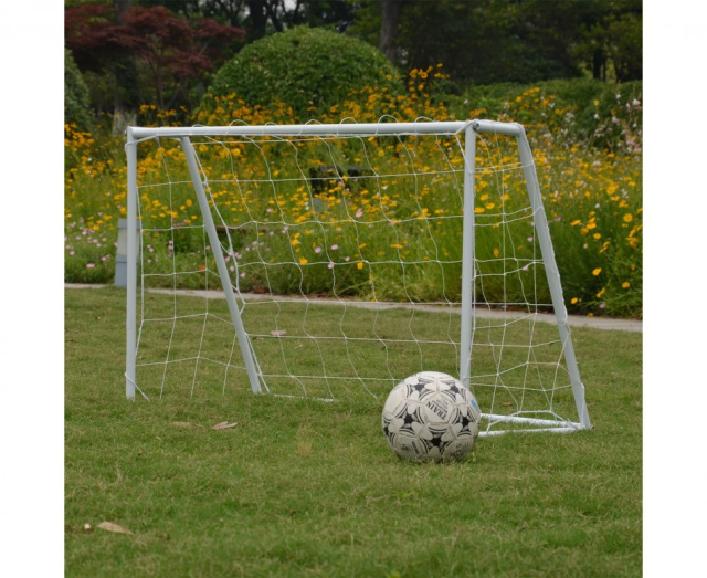 Ворота игровые DFC GOAL120T