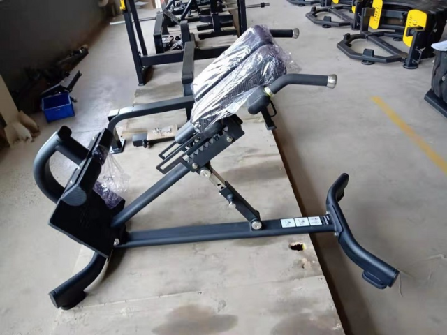 Гиперэкстензия наклонная Insight Fitness TN89 Гиперэкстензия наклонная Insight Fitness TN89