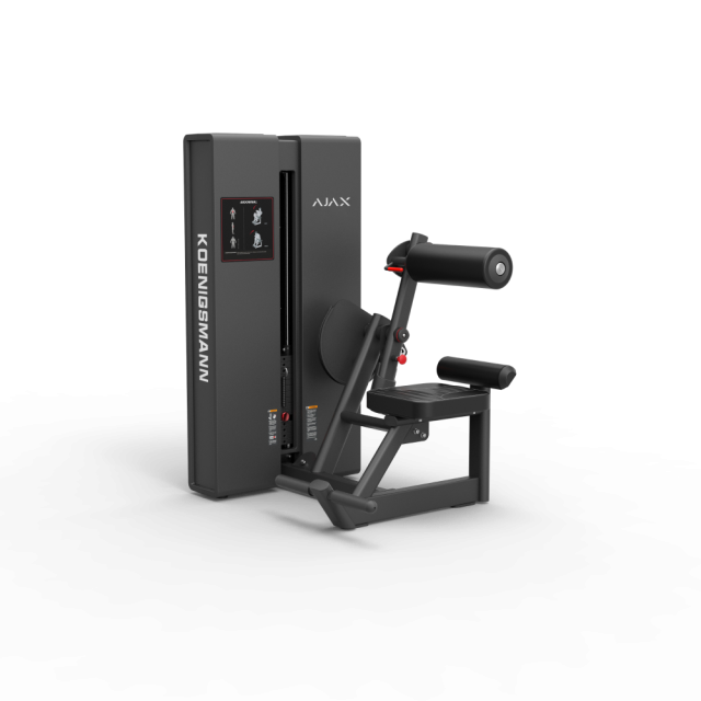 Сгибание спины STEELFRAME AYAX (Вес стека 122 кг.) Сгибание спины STEELFRAME AYAX (Вес стека 122 кг.)