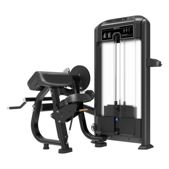 Бицепс/трицепс-машина Insight Fitness TF26 Бицепс/трицепс-машина Insight Fitness TF26