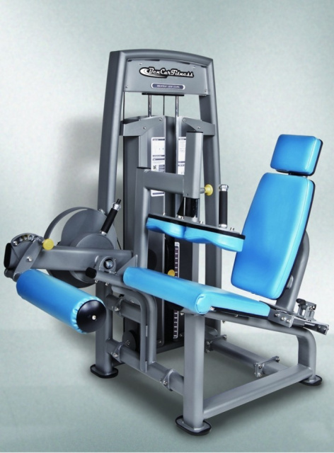 Сгибания ног BenCarFitness TS-P043/1 (морской бриз) Сгибания ног BenCarFitness TS-P043/1 (морской бриз)
