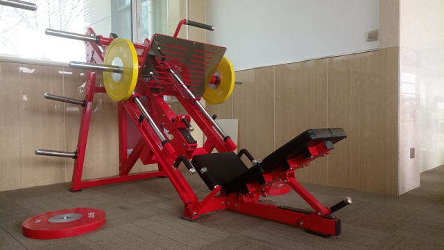 Жим ногами под углом 45 градусов Insight Fitness TM91 Жим ногами под углом 45 градусов Insight Fitness TM91