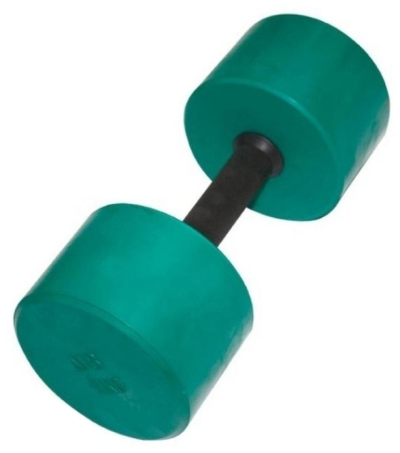 Диск олимпийский с ручками Barbell d 51 мм, чёрный, 20 кг