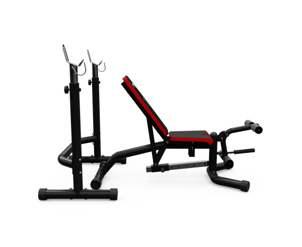 Скамья под штангу DFC BEW05R