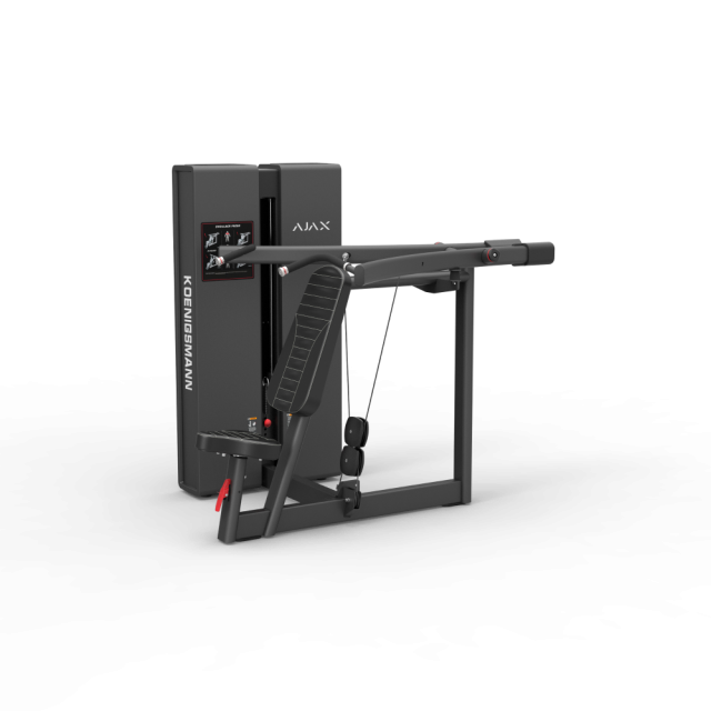 Жим от плеч STEELFRAME AYAX (Вес стека 54 кг.) Жим от плеч STEELFRAME AYAX (Вес стека 54 кг.)
