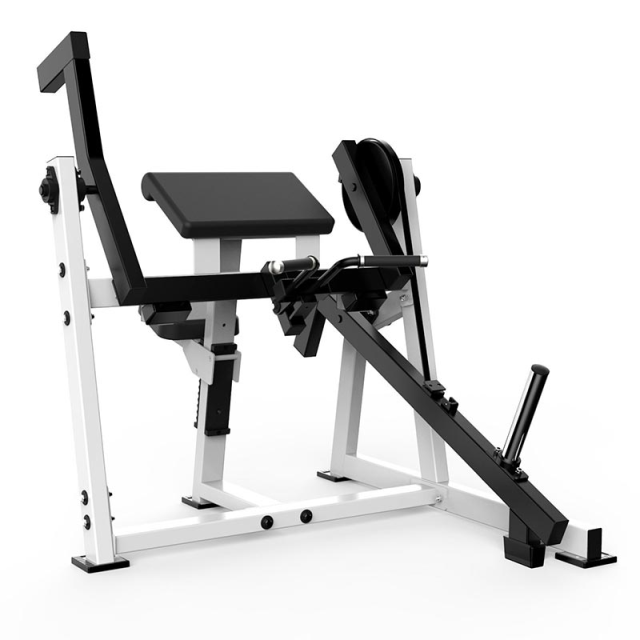 Бицепс-машина Gymmaster V05 Бицепс-машина Gymmaster V05