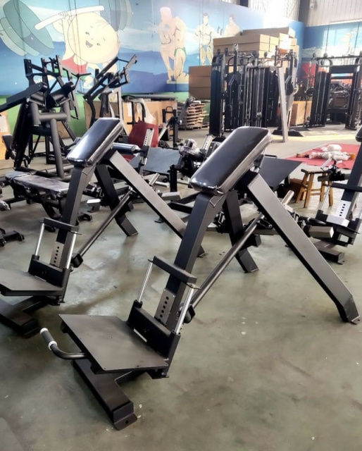 Т-тяга Gymmaster SS-16