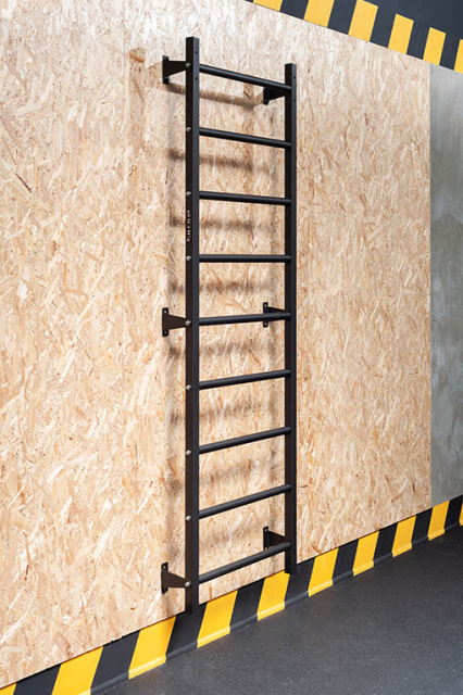 Металлическая шведская стенка STECTER WALL