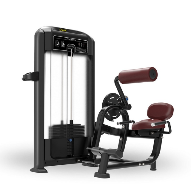 Разгибание спины Insight Fitness TF11 Разгибание спины Insight Fitness TF11