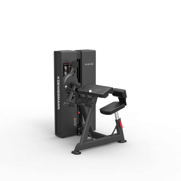 Бицепс трицепс сидя PC2106