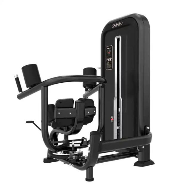 Торс-машина Insight Fitness TY12