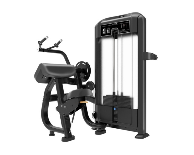 Трицепс-машина Insight Fitness TF06 Трицепс-машина Insight Fitness TF06