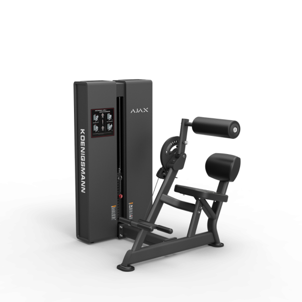 Сгибание разгибание спины PC2109B