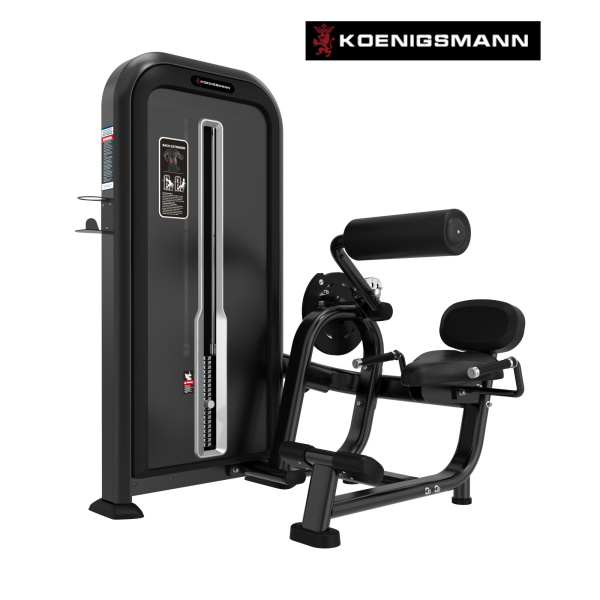 Разгибание спины STEELFRAME 11