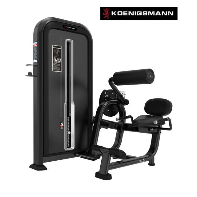 Разгибание спины STEELFRAME 11