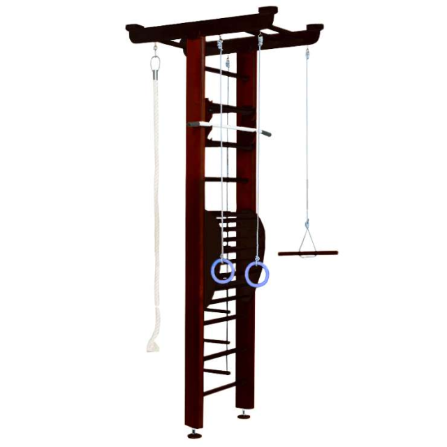 ДСК "Карусель 2Д.04.01" + тренажёр для осанки №2 Венге