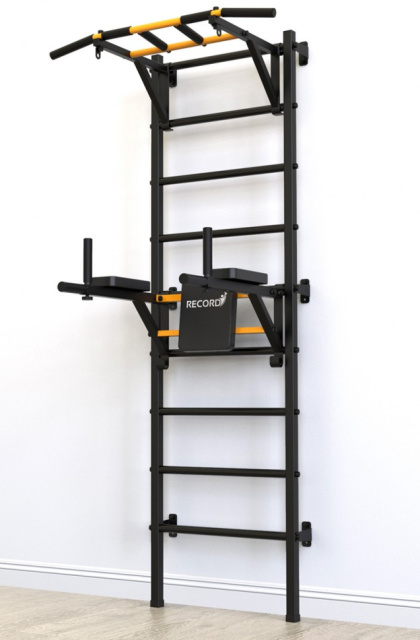Турник навесной RECORD Х2 (с опорой на пол) Турник навесной RECORD Х2 (с опорой на пол)