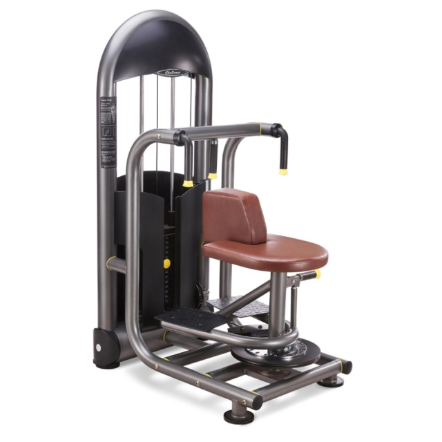 Торс-машина Protrain 6219-70 Торс-машина Protrain 6219-70