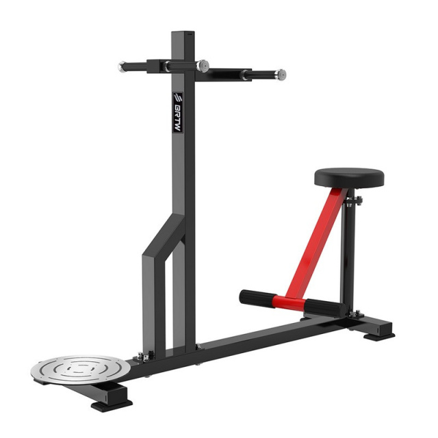 Торс-машина Insight Fitness TM95