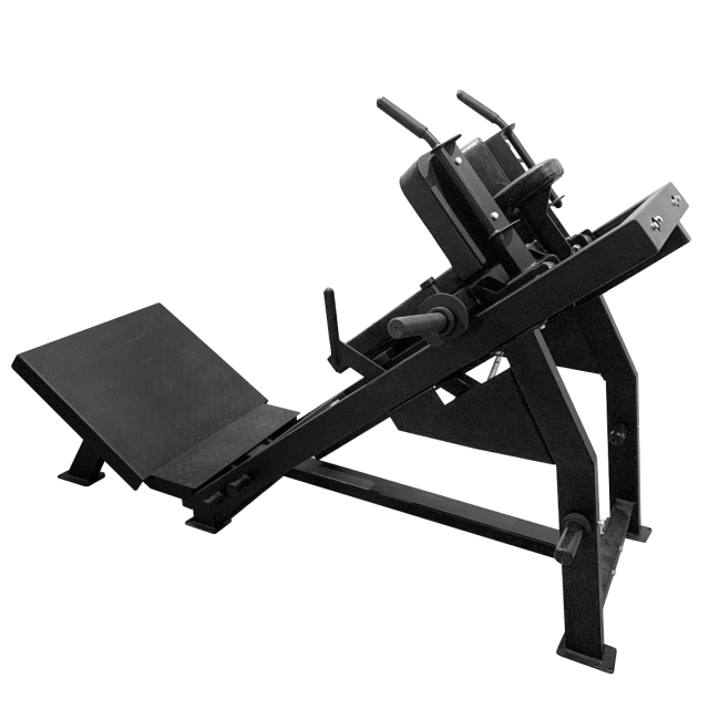 Гакк-присед BRONZE GYM PARTNER BGR-810 Гакк-присед BRONZE GYM PARTNER BGR-810