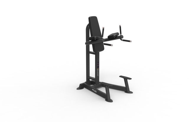 Брусья-пресс STEELFRAME AYAX 15F Брусья-пресс STEELFRAME AYAX 15F