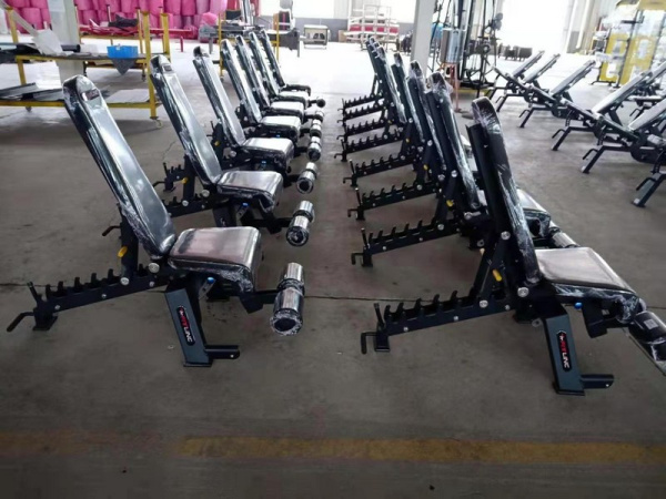 Скамья универсальная Insight Fitness DZ61 Скамья универсальная Insight Fitness DZ61