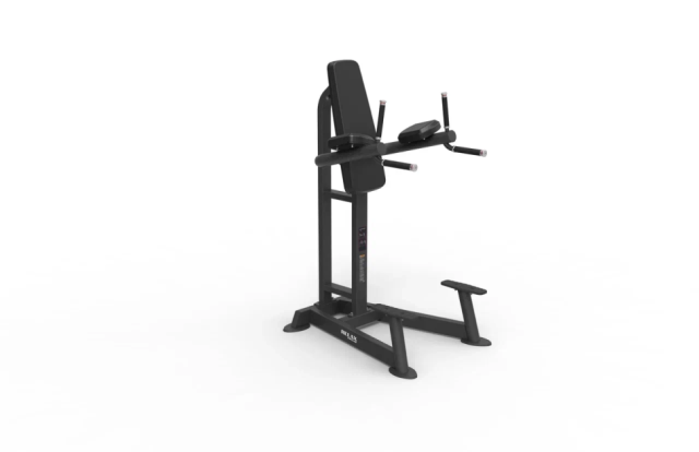 Брусья-пресс STEELFRAME AYAX 15F Брусья-пресс STEELFRAME AYAX 15F