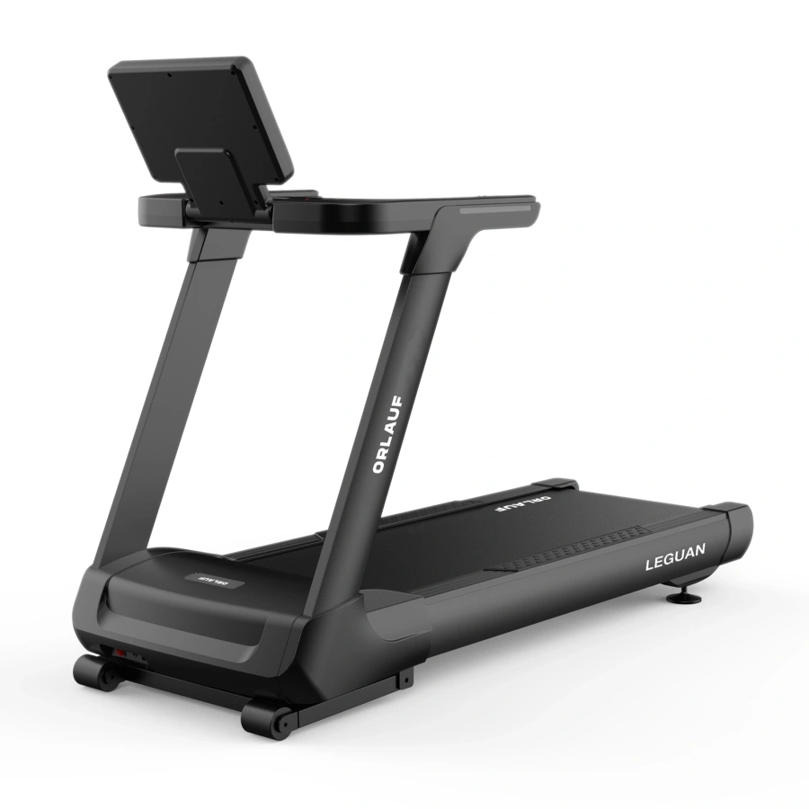 Беговая дорожка Orlauf Leguan