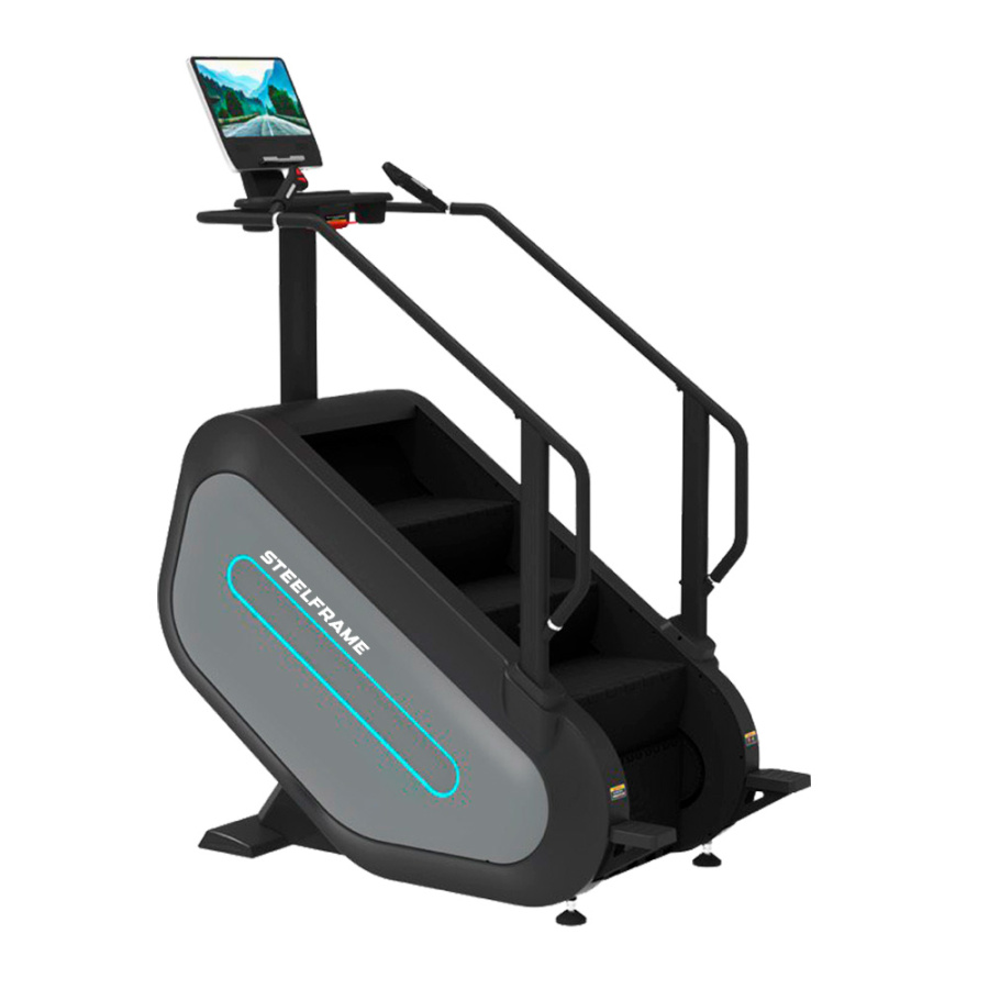 Степпер STEELFRAME AYAX ST TFT