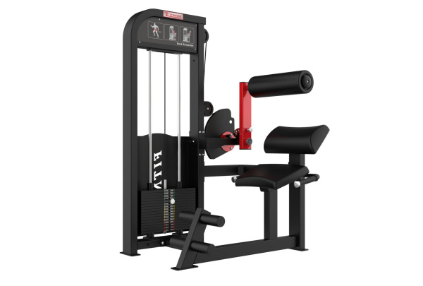 Разгибание спины STEELFRAME 6