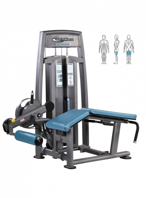 Сгибания ног лежа BenCarFitness TS-P042/1 (морской бриз) Сгибания ног лежа BenCarFitness TS-P042/1 (морской бриз)