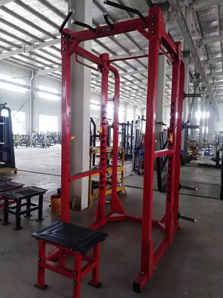 Силовая рама Insight Fitness TM90