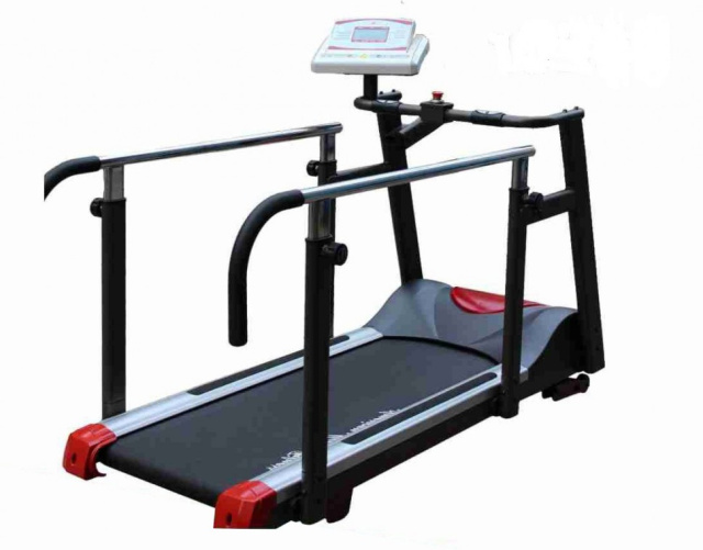 Беговая дорожка American Motion Fitness AMF 8230H без подвеса Беговая дорожка American Motion Fitness AMF 8230H без подвеса