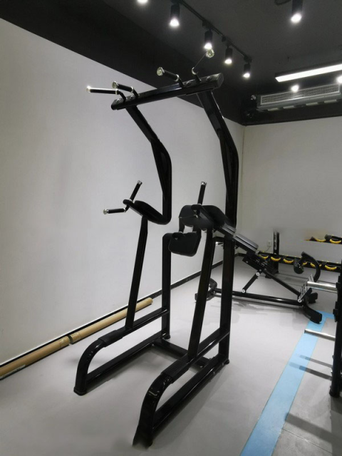 Турник-пресс-брусья Insight Fitness TN44 Турник-пресс-брусья Insight Fitness TN44