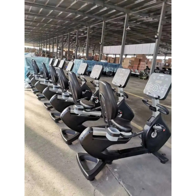 Велотренажер Insight Fitness EB8800 Велотренажер Insight Fitness EB8800