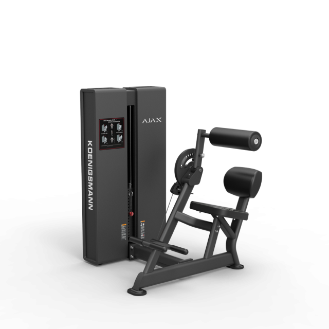 Сгибание разгибание спины STEELFRAME AYAX (Вес стека 118 кг.) Сгибание разгибание спины STEELFRAME AYAX (Вес стека 118 кг.)