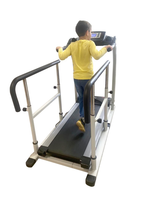 Беговая дорожка TX001 + поручни American Motion Fitness Беговая дорожка TX001 + поручни American Motion Fitness