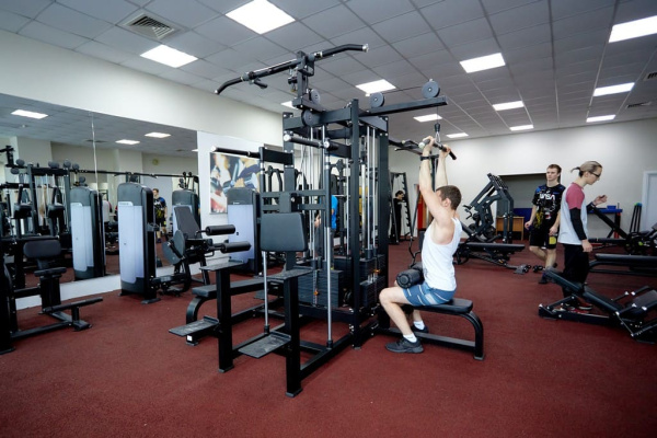 Мультистанция 4-х позиционная Insight Fitness TB66