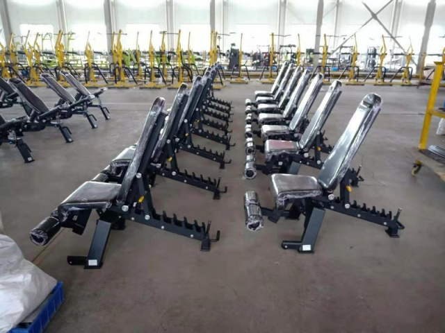 Скамья универсальная Insight Fitness DZ61