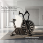 Эйрбайк VictoryFit VF-AirBike GTM