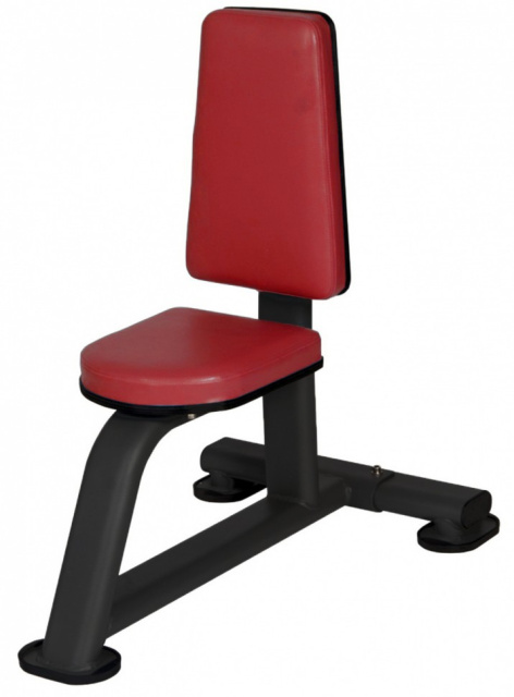 Стул BenCarFitness TS-P030/4 (бордовый) Стул BenCarFitness TS-P030/4 (бордовый)