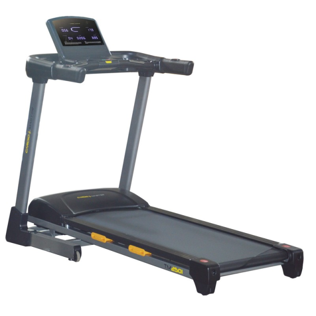 Беговая дорожка Gymmaster DC80E Беговая дорожка Gymmaster DC80E