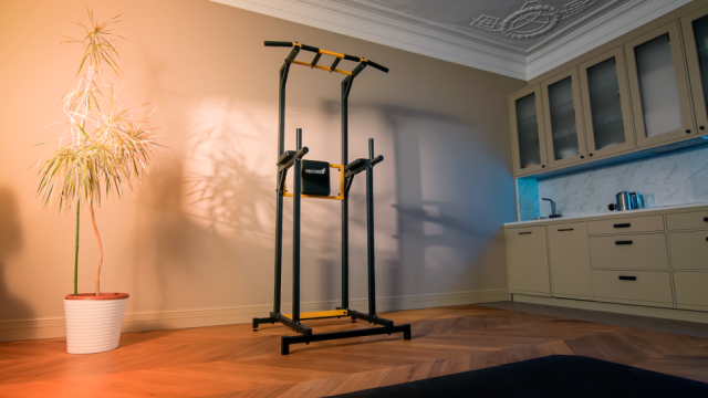 Напольный турник RECORD версия ПРО Напольный турник RECORD версия ПРО