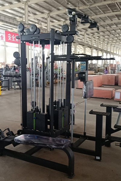 Мультистанция 4-х позиционная Insight Fitness TB66