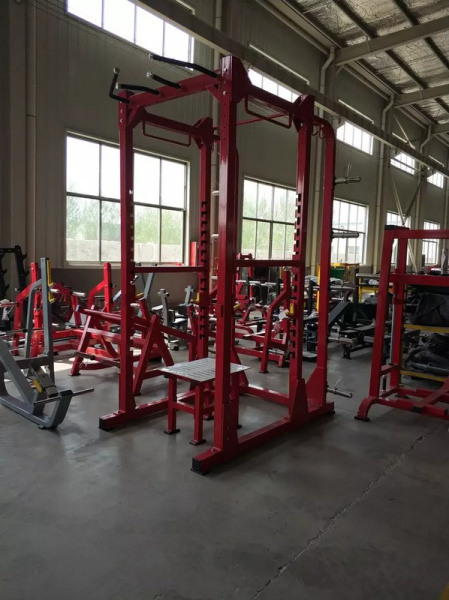 Силовая рама Insight Fitness TM90