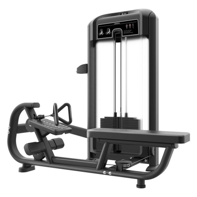 Горизонтальная тяга Insight Fitness TF09 Горизонтальная тяга Insight Fitness TF09
