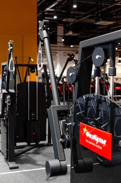 Функциональный тренажер FitWorld FW-9000