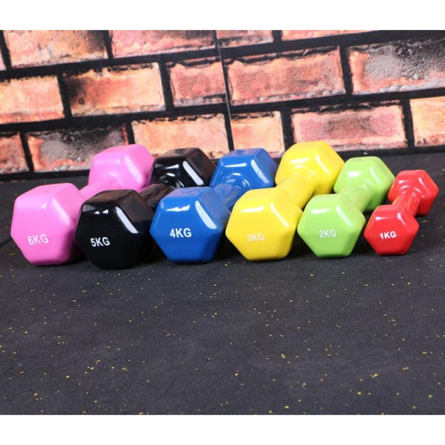 Гантель виниловая OKPRO OK1001A (6 кг) Гантель виниловая OKPRO OK1001A (6 кг)