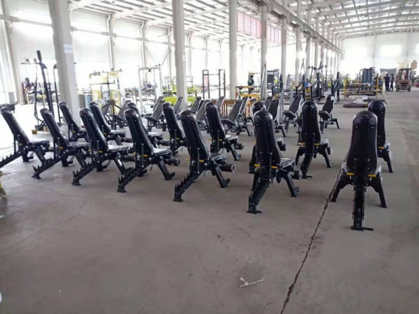 Скамья универсальная Insight Fitness DZ61 Скамья универсальная Insight Fitness DZ61